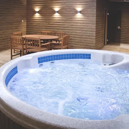 Moser - Sauna And Pool Κάρλοβι Βάρι