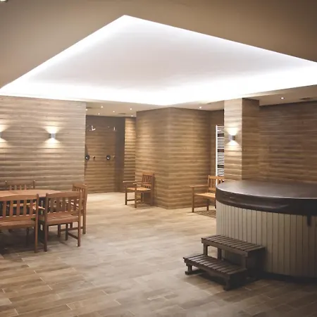Moser - Sauna And Pool *